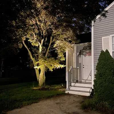 Outdoor landscape lighting at dusk